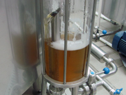 BrewHouse BlonderBeer photo 3
